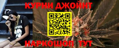 дживик Кингисепп