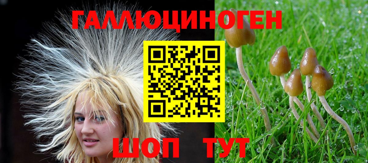 Псилоцибиновые грибы мухоморы  Вход с VPN  Красногорск 