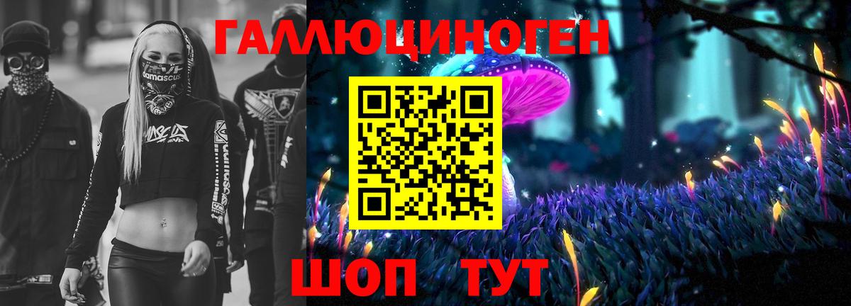 Псилоцибиновые грибы Psilocybe Красногорск