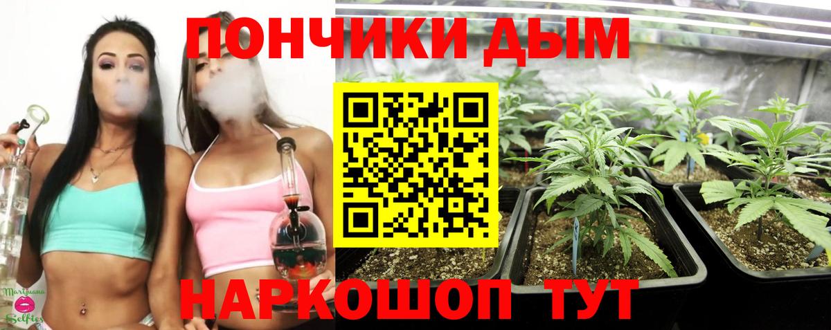 Красногорск  Конопля тримм  Вход с VPN  Бошки Шишки White Widow  Марихуана Bruce Banner 